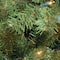 7.5 ft. Hinged North Valley Spruce Medium Artificial Christmas Tree, Unlit
